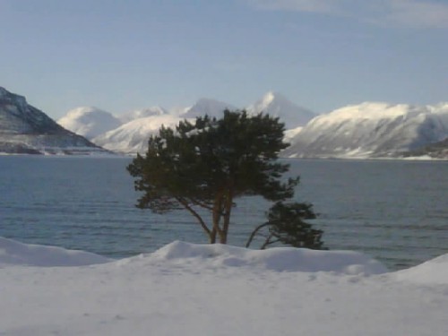 147km-LyngenFjord.jpg